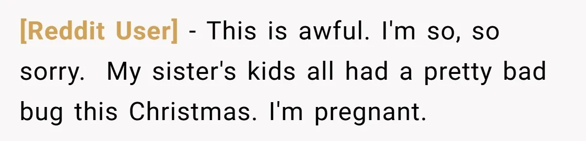 [Reddit User] − This is awful. I'm so, so sorry. ​ My sister's kids all had a pretty bad bug this Christmas. I'm pregnant.