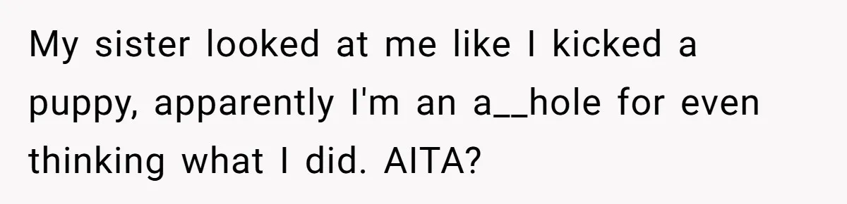My sister looked at me like I kicked a puppy, apparently I'm an a__hole for even thinking what I did. AITA?