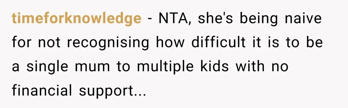 timeforknowledge − NTA, she's being naive for not recognising how difficult it is to be a single mum to multiple kids with no financial support...