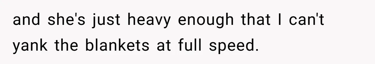 and she's just heavy enough that I can't yank the blankets at full speed.