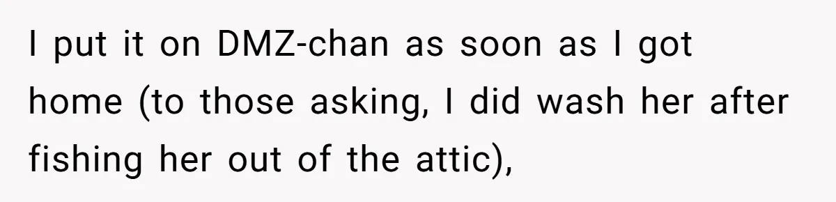 I put it on DMZ-chan as soon as I got home (to those asking, I did wash her after fishing her out of the attic),