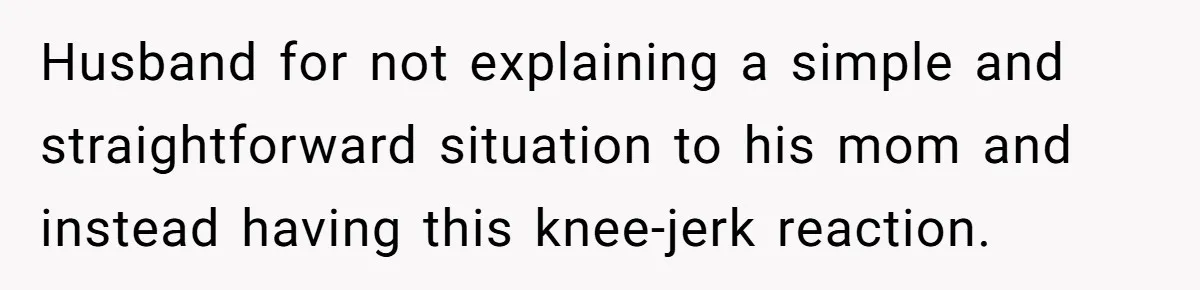 Husband for not explaining a simple and straightforward situation to his mom and instead having this knee-jerk reaction.