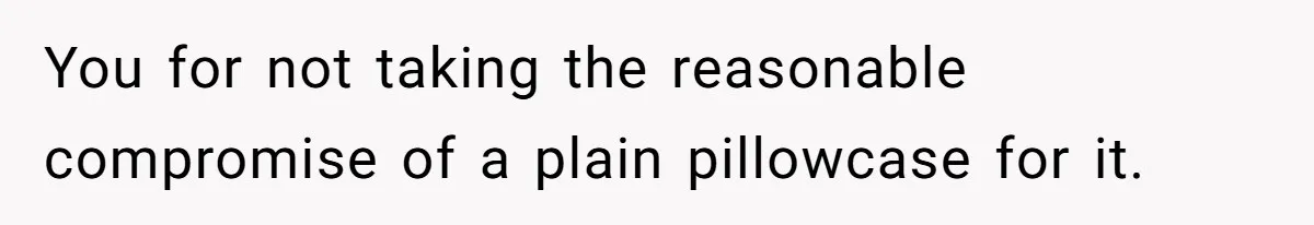 You for not taking the reasonable compromise of a plain pillowcase for it.