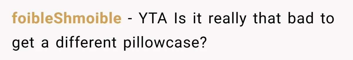 foibleShmoible − YTA Is it really that bad to get a different pillowcase?