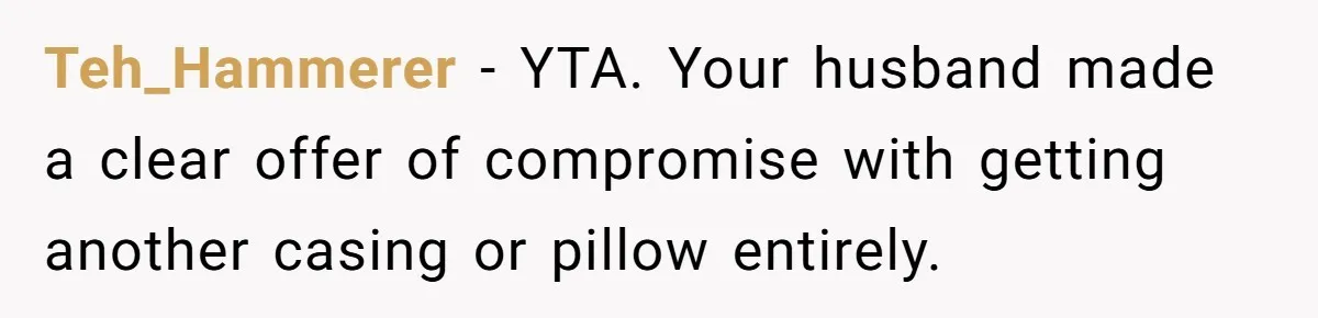 Teh_Hammerer − YTA. Your husband made a clear offer of compromise with getting another casing or pillow entirely.