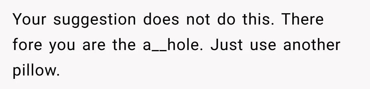 Your suggestion does not do this. There fore you are the a__hole. Just use another pillow.
