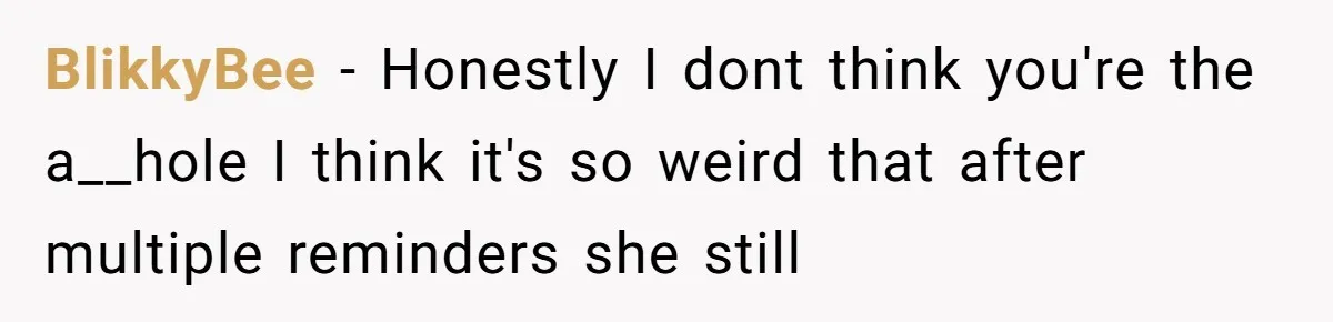 SIL Calls It Heartless When This Woman Enforces Daycare Rules On Her Own Niece BlikkyBee − Honestly I dont think you're the a__hole I think it's so weird that after multiple reminders she still