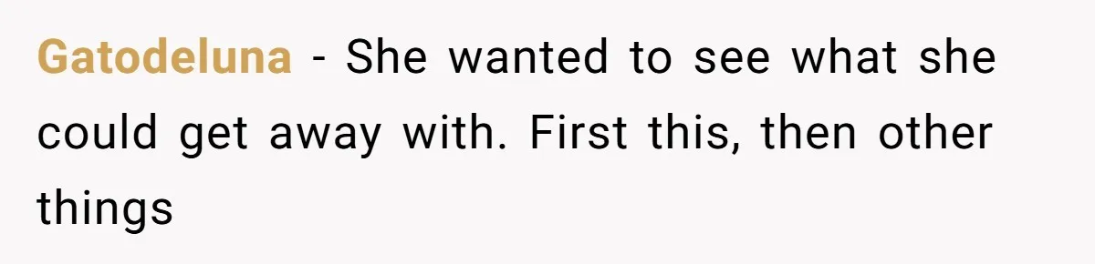 SIL Calls It Heartless When This Woman Enforces Daycare Rules On Her Own Niece Gatodeluna − She wanted to see what she could get away with. First this, then other things