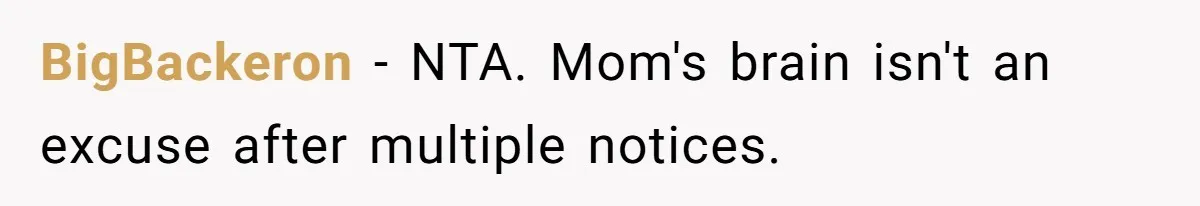SIL Calls It Heartless When This Woman Enforces Daycare Rules On Her Own Niece BigBackeron − NTA. Mom's brain isn't an excuse after multiple notices.