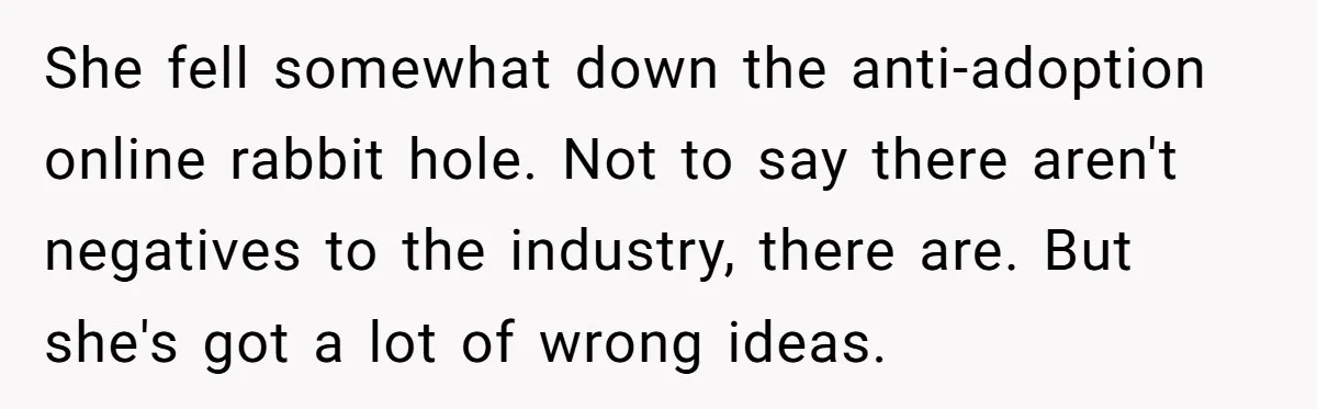 Woman Answers SIL's Adoption Interview With Brutal Honesty That Completely Shocks Her She fell somewhat down the anti-adoption online rabbit hole. Not to say there aren't negatives to the industry, there are. But she's got a lot of wrong ideas.