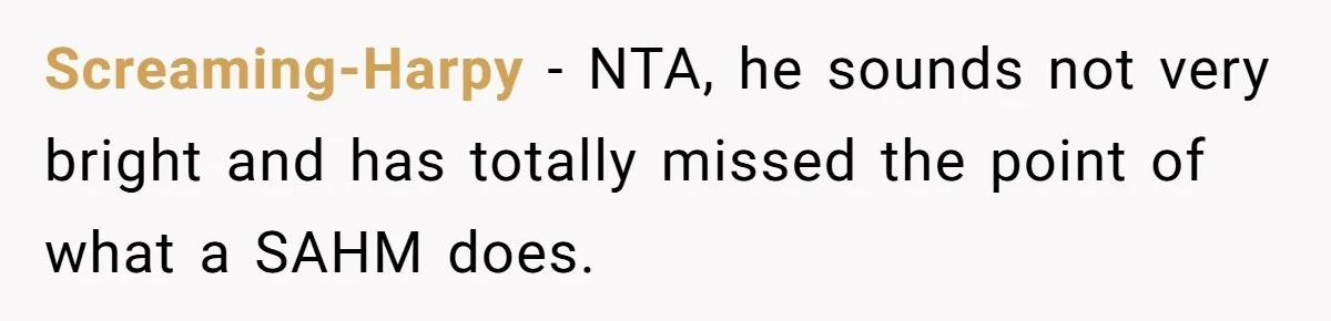 SAHM Tells Husband She’ll Go Back To Work Unless He Shares His Salary Screaming-Harpy − NTA, he sounds not very bright and has totally missed the point of what a SAHM does.