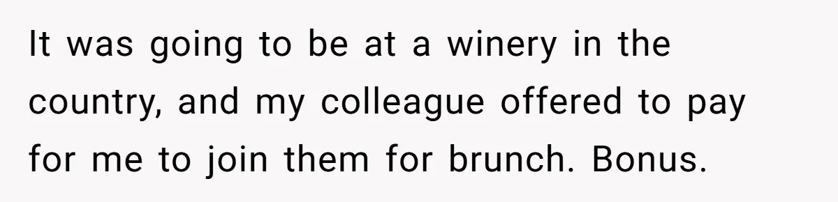 It was going to be at a winery in the country, and my colleague offered to pay for me to join them for brunch. Bonus.