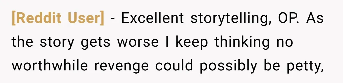 [Reddit User] − Excellent storytelling, OP. As the story gets worse I keep thinking no worthwhile revenge could possibly be petty,