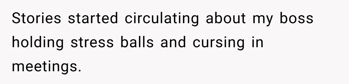 Stories started circulating about my boss holding stress balls and cursing in meetings.