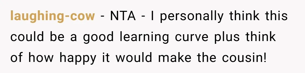 laughing-cow − NTA - I personally think this could be a good learning curve plus think of how happy it would make the cousin!