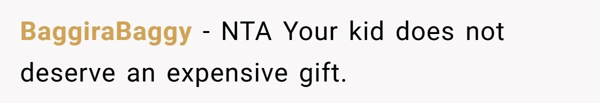 BaggiraBaggy − NTA Your kid does not deserve an expensive gift.