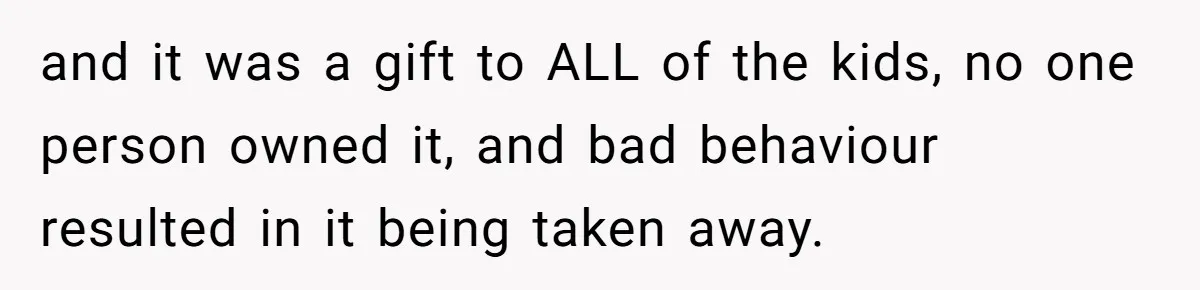 and it was a gift to ALL of the kids, no one person owned it, and bad behaviour resulted in it being taken away.
