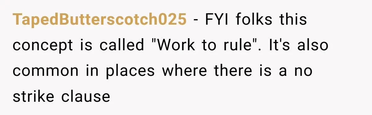 TapedButterscotch025 − FYI folks this concept is called "Work to rule". It's also common in places where there is a no strike clause