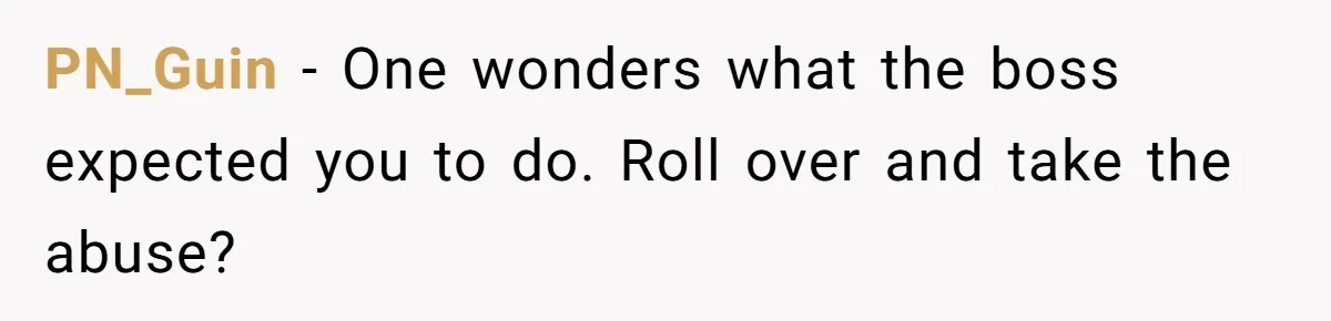 PN_Guin − One wonders what the boss expected you to do. Roll over and take the abuse?