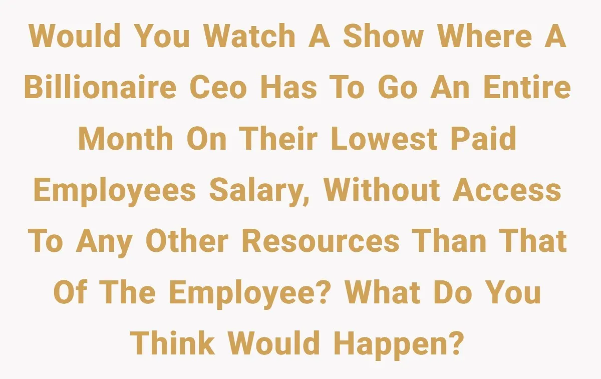 Would you watch a show where a billionaire CEO has to go an entire month on their lowest paid employees salary, without access to any other resources than that of...