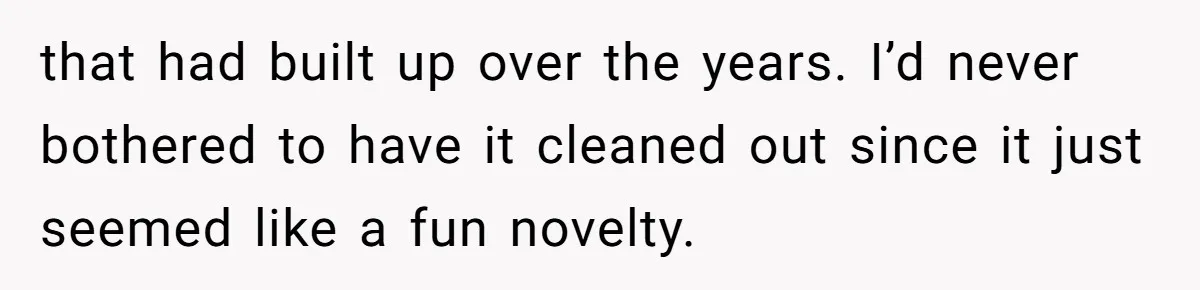 that had built up over the years. I’d never bothered to have it cleaned out since it just seemed like a fun novelty.