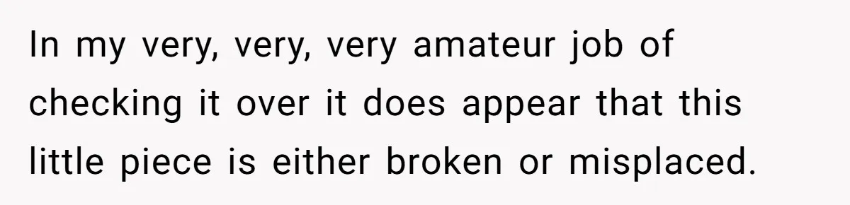 In my very, very, very amateur job of checking it over it does appear that this little piece is either broken or misplaced.