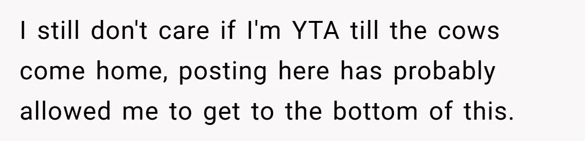 I still don't care if I'm YTA till the cows come home, posting here has probably allowed me to get to the bottom of this.