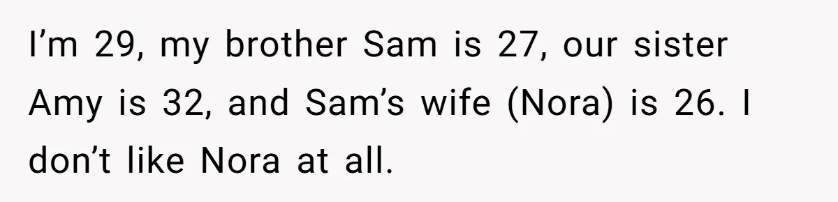 I’m 29, my brother Sam is 27, our sister Amy is 32, and Sam’s wife (Nora) is 26. I don’t like Nora at all.