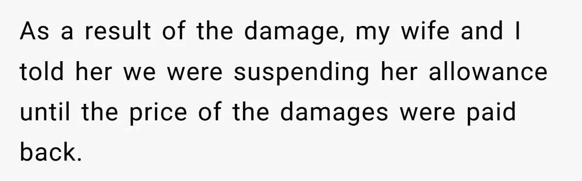 As a result of the damage, my wife and I told her we were suspending her allowance until the price of the damages were paid back.