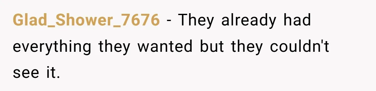 Glad_Shower_7676 − They already had everything they wanted but they couldn't see it.