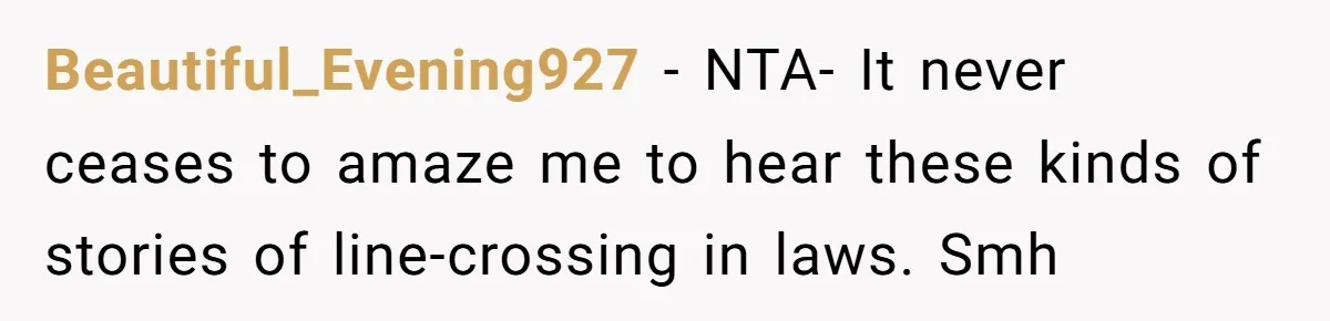 Beautiful_Evening927 − NTA- It never ceases to amaze me to hear these kinds of stories of line-crossing in laws. Smh