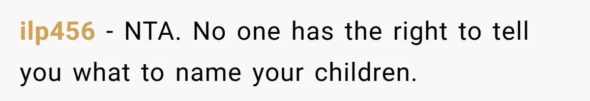 ilp456 − NTA. No one has the right to tell you what to name your children.