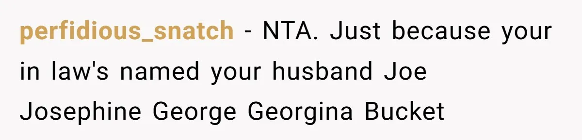 perfidious_snatch − NTA. Just because your in law's named your husband Joe Josephine George Georgina Bucket