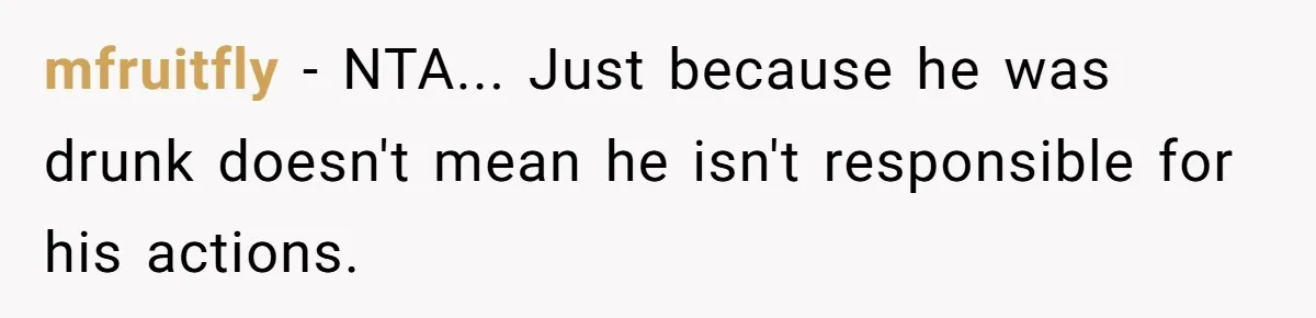 mfruitfly − NTA... Just because he was drunk doesn't mean he isn't responsible for his actions.