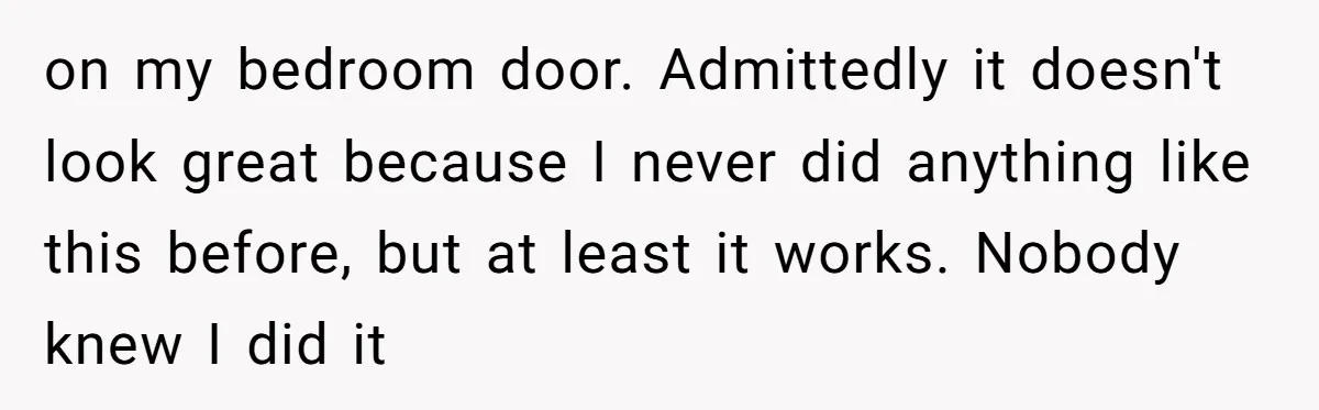 on my bedroom door. Admittedly it doesn't look great because I never did anything like this before, but at least it works. Nobody knew I did it