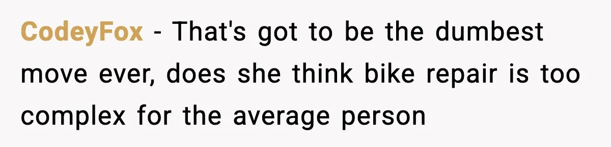 CodeyFox − That's got to be the dumbest move ever, does she think bike repair is too complex for the average person