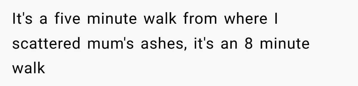 It's a five minute walk from where I scattered mum's ashes, it's an 8 minute walk