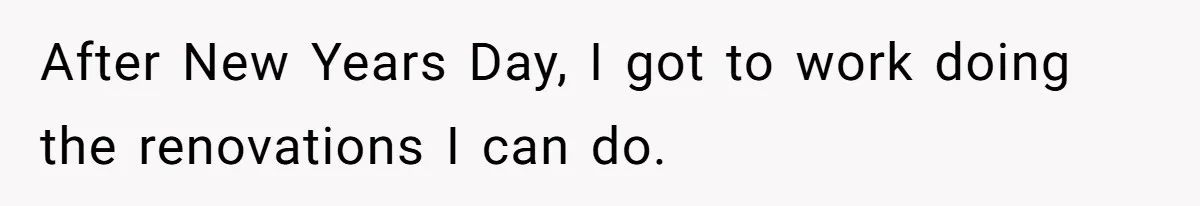 After New Years Day, I got to work doing the renovations I can do.