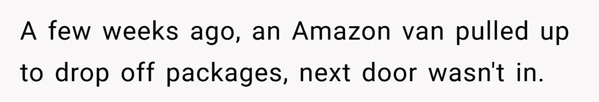 A few weeks ago, an Amazon van pulled up to drop off packages, next door wasn't in.