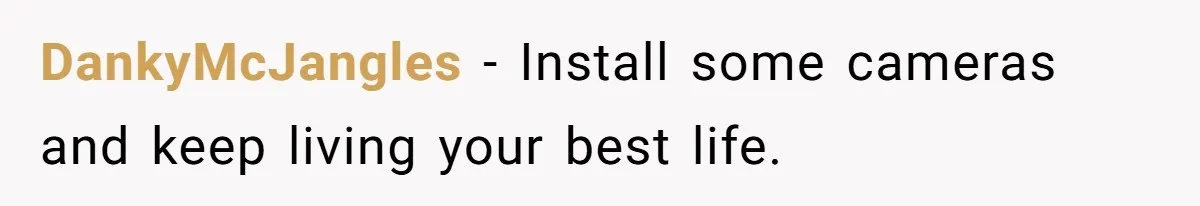 DankyMcJangles − Install some cameras and keep living your best life.