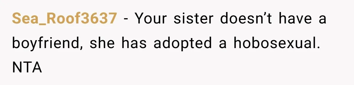 Sea_Roof3637 − Your sister doesn’t have a boyfriend, she has adopted a hobosexual. NTA
