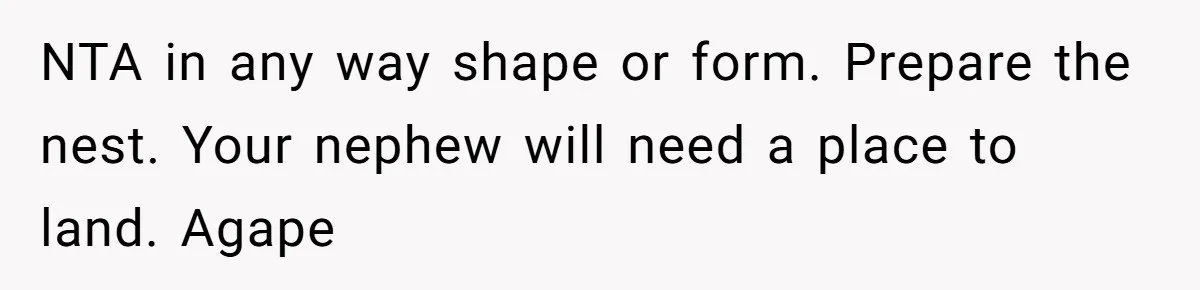 NTA in any way shape or form. Prepare the nest. Your nephew will need a place to land. Agape