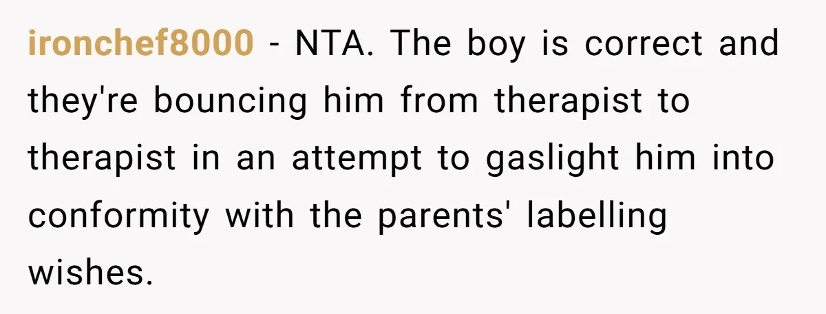 ironchef8000 − NTA. The boy is correct and they're bouncing him from therapist to therapist in an attempt to gaslight him into conformity with the parents' labelling wishes.