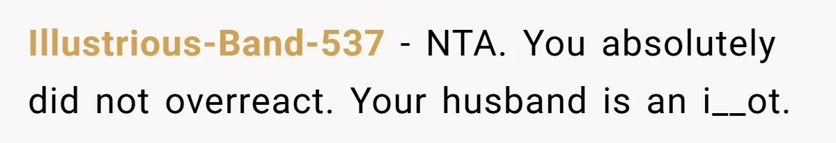 Illustrious-Band-537 − NTA. You absolutely did not overreact. Your husband is an i__ot.