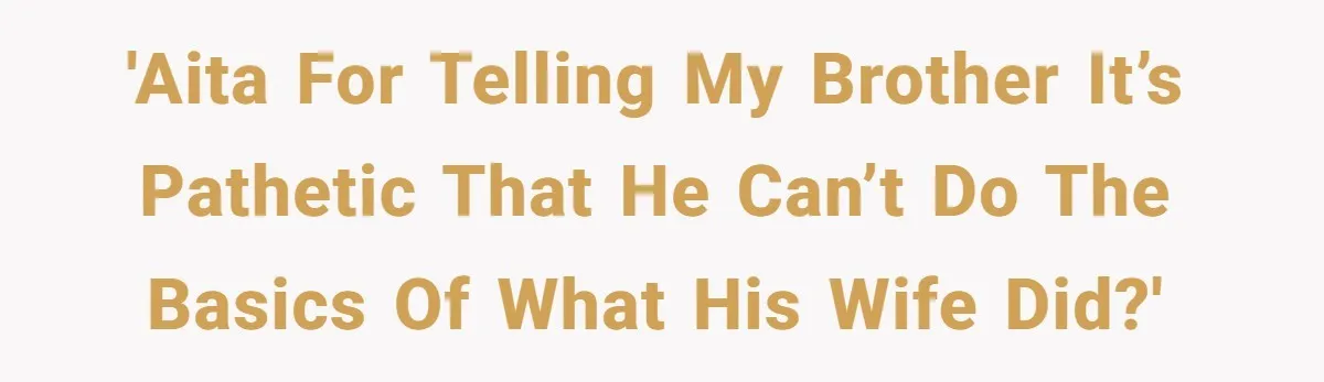 'AITA for telling my brother it’s pathetic that he can’t do the basics of what his wife did?'