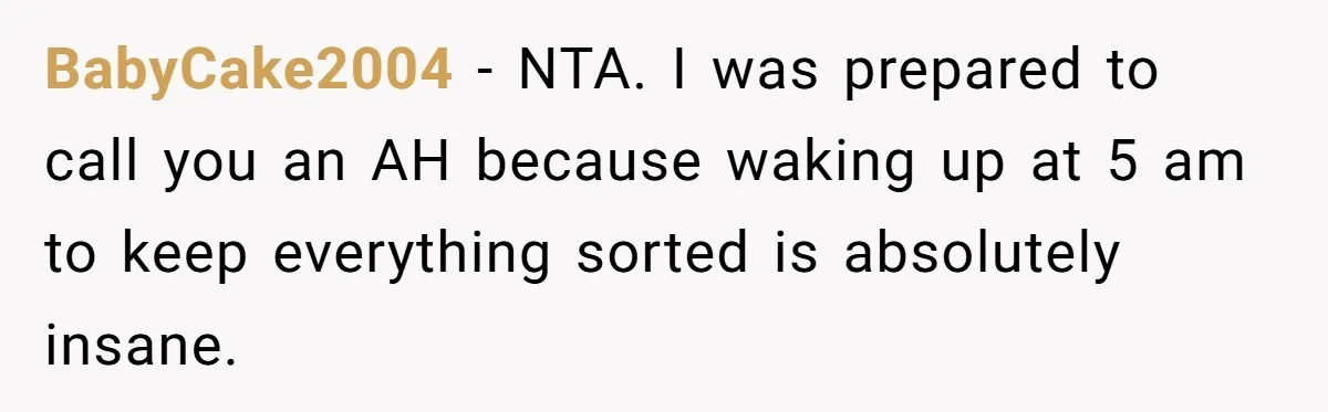 BabyCake2004 − NTA. I was prepared to call you an AH because waking up at 5 am to keep everything sorted is absolutely insane.