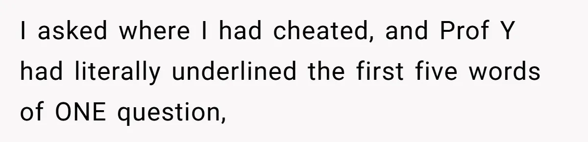 I asked where I had cheated, and Prof Y had literally underlined the first five words of ONE question,