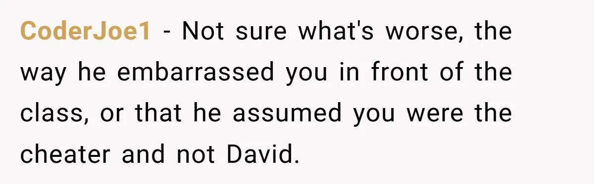 CoderJoe1 − Not sure what's worse, the way he embarrassed you in front of the class, or that he assumed you were the cheater and not David.