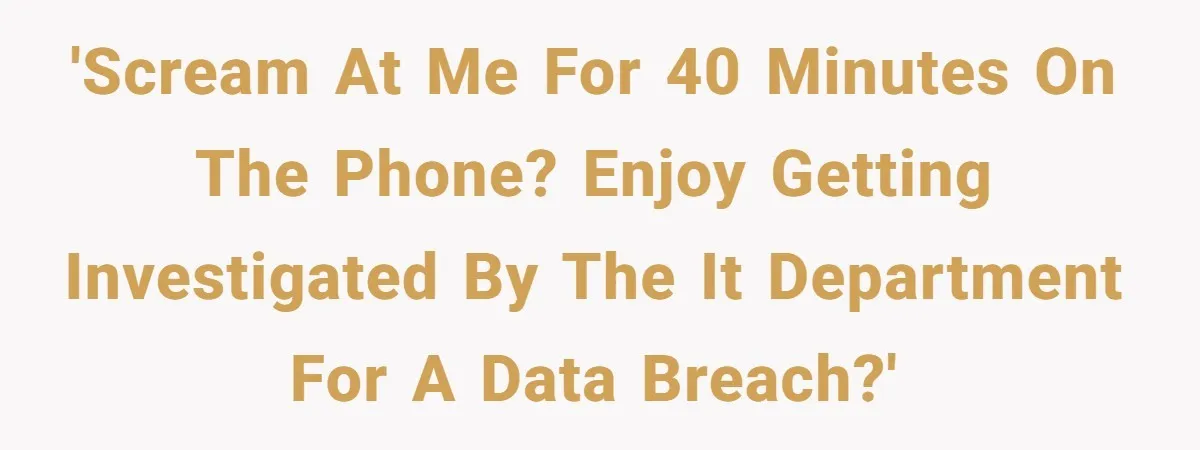'Scream at me for 40 minutes on the phone? Enjoy getting investigated by the IT department for a data breach?'