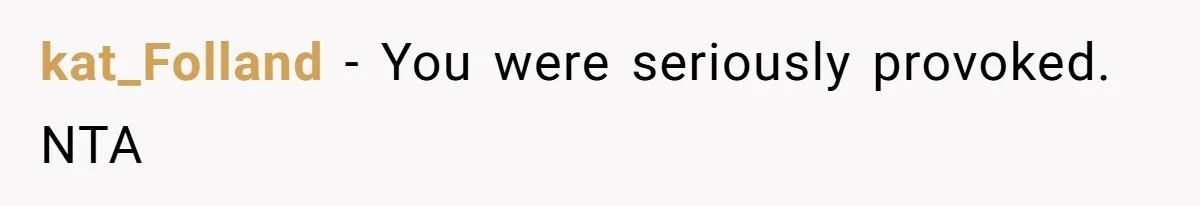 kat_Folland − You were seriously provoked. NTA